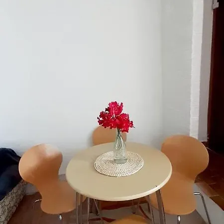 Apartment Ivan Vir